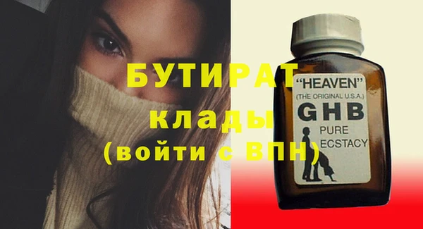 индика Елабуга