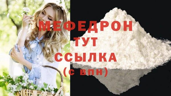 индика Елабуга