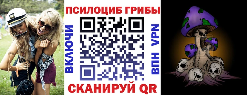 Галлюциногенные грибы Psilocybine cubensis где найти KRAKEN онион Новое Девяткино
